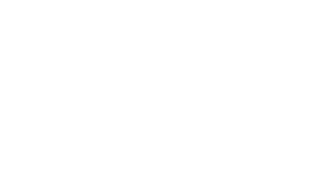 ZT